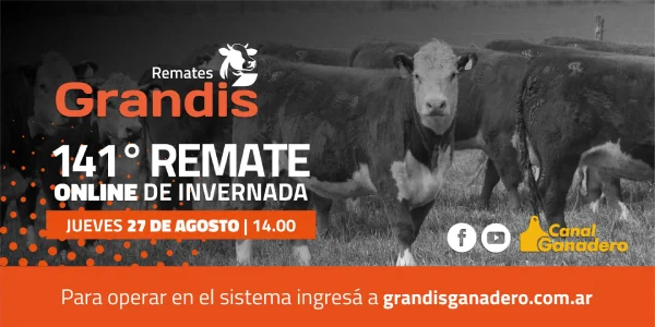 GRANDIS