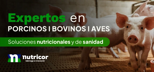 Nutricor