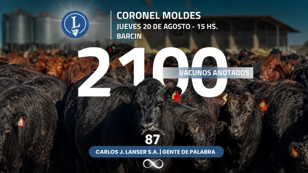 Remate Carlos J Lanser